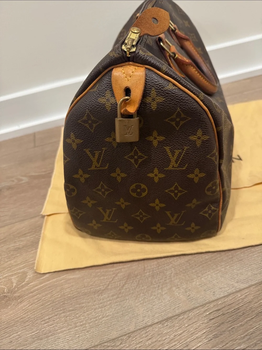 Louis Vuitton classic louis